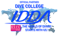 Logo IDDA