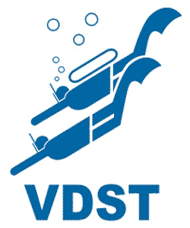 Logo VDST